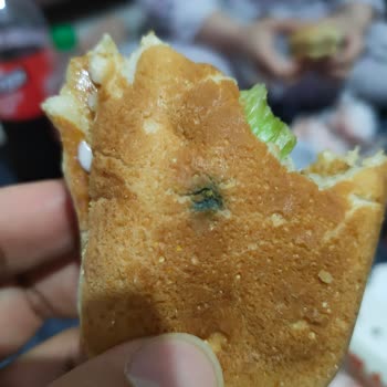 Migros Yemek'ten Gelen Küflü Ve Buz Gibi Sandviç, Yardımsız Müşteri Desteği