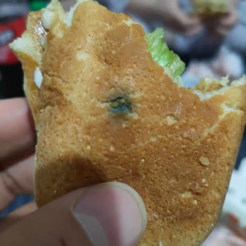 Migros Yemek'ten Gelen Küflü Ve Buz Gibi Sandviç, Yardımsız Müşteri Desteği