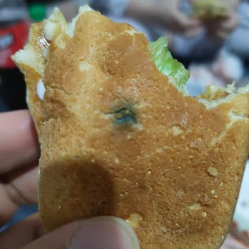 Migros Yemek'ten Gelen Küflü Ve Buz Gibi Sandviç, Yardımsız Müşteri Desteği