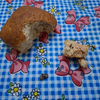 İstanbul Halk Ekmek’te Paslı Demir Parçası Bulundu