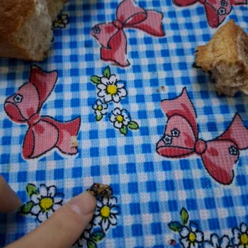 İstanbul Halk Ekmek’te Paslı Demir Parçası Bulundu