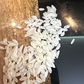 Yayla Pirince Benzeyen Plastik Taneler Çıktı