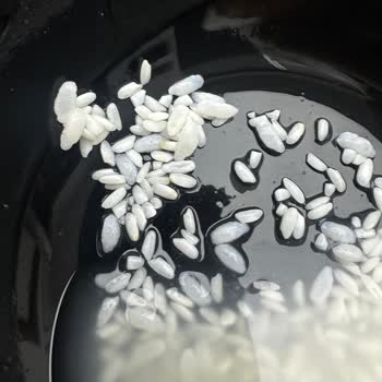 Yayla Pirince Benzeyen Plastik Taneler Çıktı