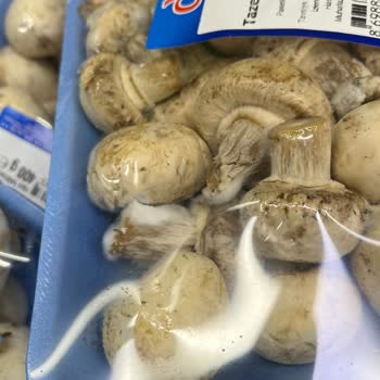 Seçen Gross Markette Çürük Meyve Sebze ve Sinek Sorunu