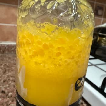 Sıkma Portakal Suyu Bozulması Ve Zehirlenme Riski