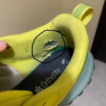 Adidas Runfalcon İç Astar Yırtılmaları Ve Kutunun İmha Edilmesi Nedeniyle Ürün Değişimi Talebi