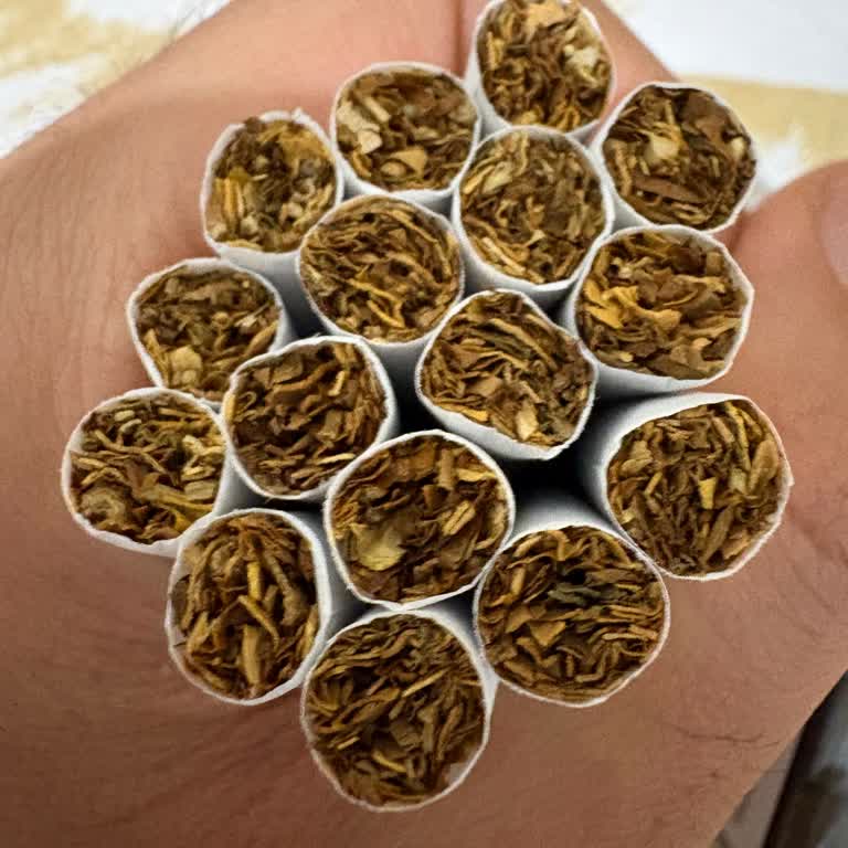 Winston Dark Blue Sigara’da Kimyasal Tat, Koku Ve Sert Parçalar Sorunu