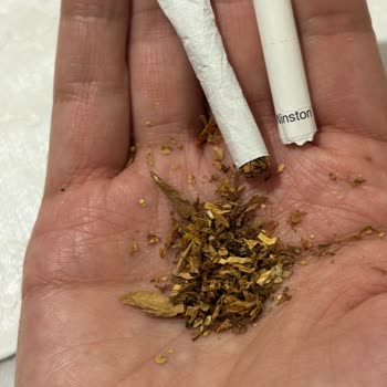 Winston Dark Blue Sigara’da Kimyasal Tat, Koku Ve Sert Parçalar Sorunu