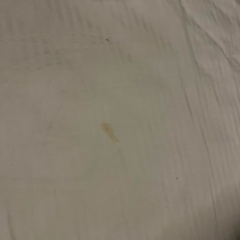 Batum Otelindeki Kalitesiz Konaklama Ve Program Gecikmesi