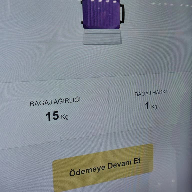 Pegasus’ta Yaşlı Yolcular İçin Zorunlu Bagaj Etiketleme Sistemi Şikayetimiz