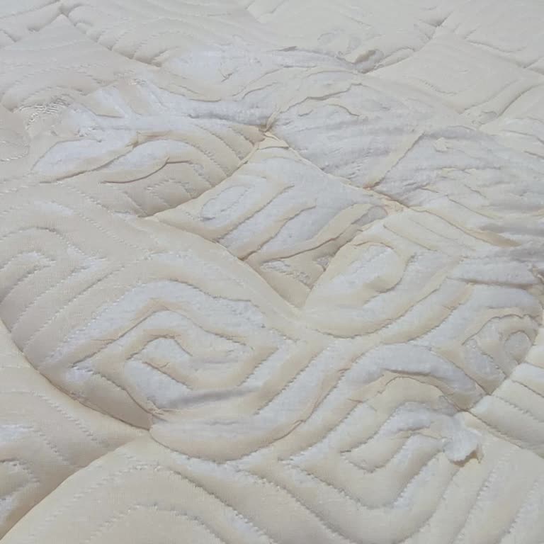 Yatakta Büyük Yırtıklar Ve Kullanıcı Hatası İddiası Reddedildi