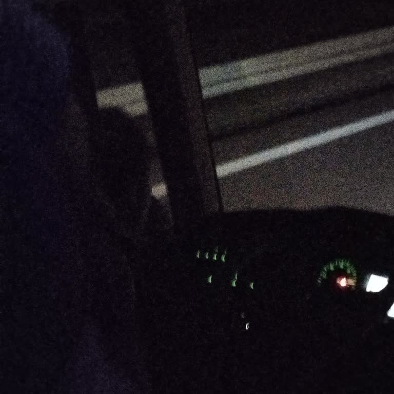 Kaptanın Çekirdek Çitlemesi Yolcu Konforunu Ve Güvenliğini Tehlikeye Atıyor