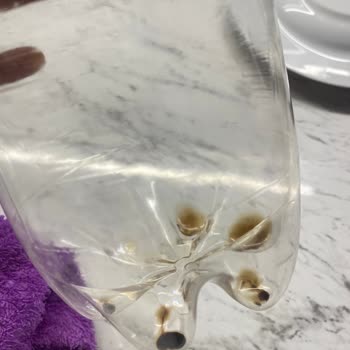 Şişe Dipinde Tort Görüldü, Sağlık Endişesi