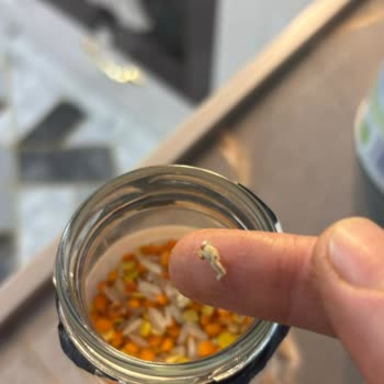 Og Store Havuçlu Bebek Çorbası Karışımında Kurt Çıkması Ve İade Talebi