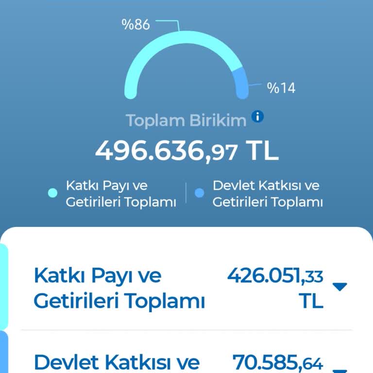 Anadolu Hayat Emeklilikte Ani Fon Düşüşü Ve Yetersiz Müşteri Desteği