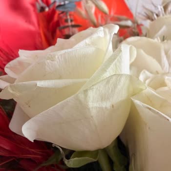 Taze Çiçek'ten Solmuş Çiçekler Ve Onay Eksikliği