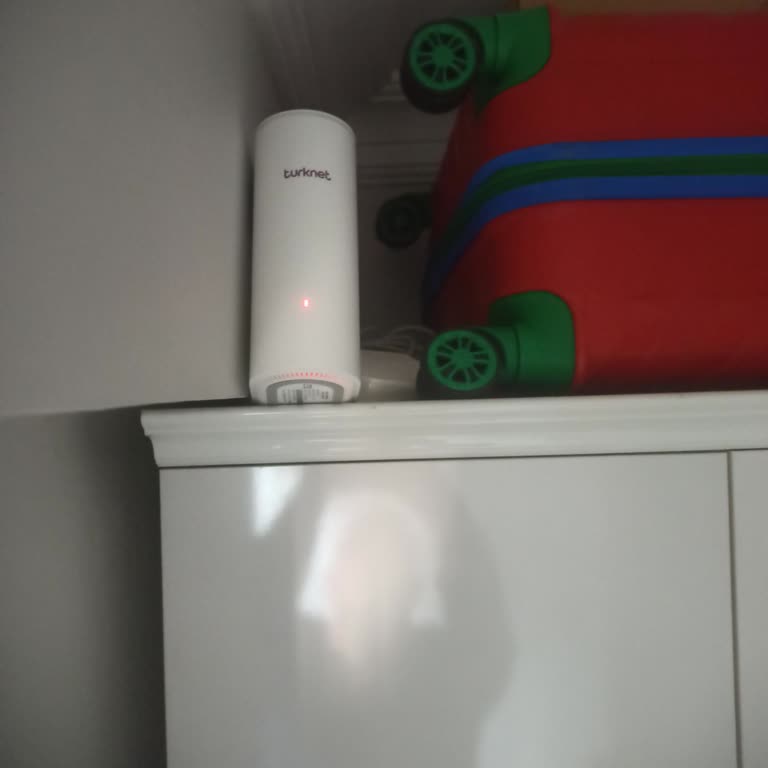 Sürekli Kesintili Ve Yavaş 1 Gbps İnternet İş Kaybına Neden Oluyor