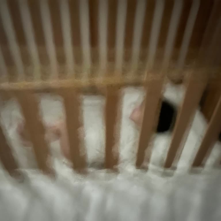 Çocukların Güvenliği Ve Sessizliği İçin Yetersiz Önlem, Hijyen Ve Hizmet Sorunları