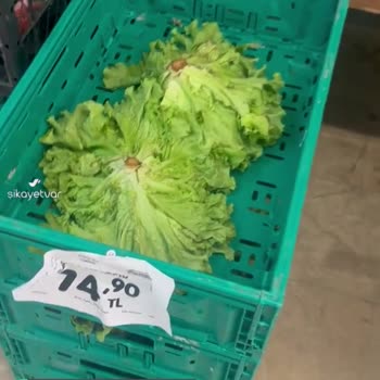 Edirne Merkez Abdurrahman Mahallesi Şok Market Şikayeti