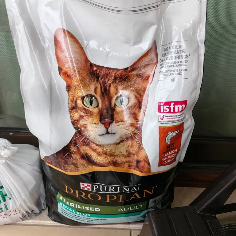 N11'de Sahte Kedi Maması Ve İade Talebi