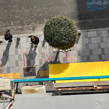 Gdz Elektrik Dağıtım Uzun Süreli Elektrik Kesintisi Asansör Ve Kalorifer Sorunlarıyla Mağdur Ediyor