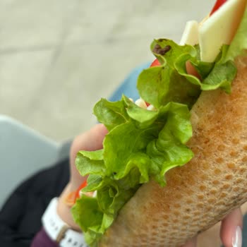 Getir Ve Kahve Dünyası'ndan Gelen Çamurlu Ve Böcekli Sandviçte Hijyen Skandalı