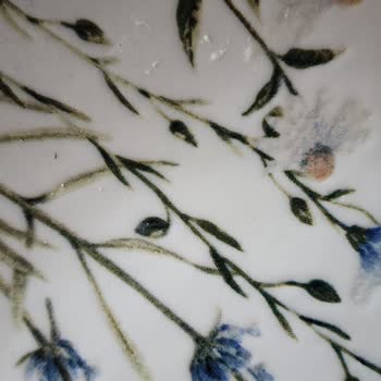 Kullanılmış Ve Kırık Tabak Takımı Gönderilmesi Hijyen İhlali