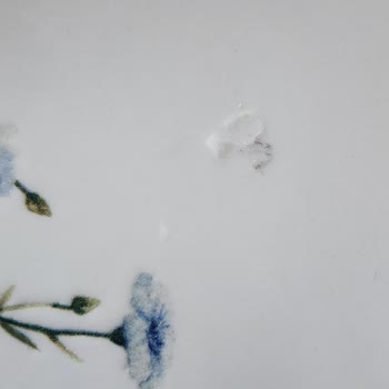 Kullanılmış Ve Kırık Tabak Takımı Gönderilmesi Hijyen İhlali