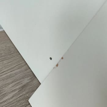 Hasarlı Mutfak Dolabı Ve Cevapsız Destek İsteği