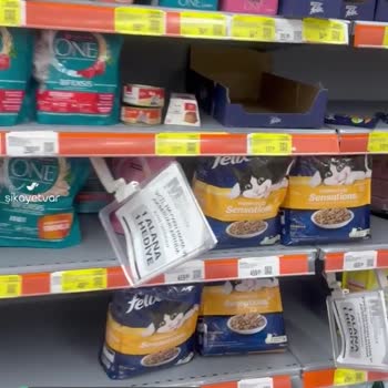 Migros Kedi Maması Alamıyorum