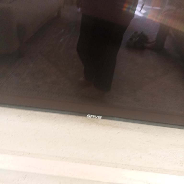 Yeni Alınan Televizyonda Erken Arıza, Servisin Haksız Ücret Talebi