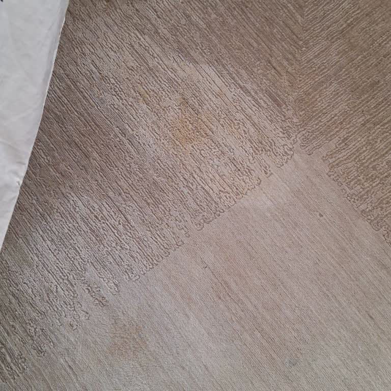 Kolay Temizlenir İddiası Çelişiyor: Calvin Klein Salon Halılarında Kalıcı Lekeler