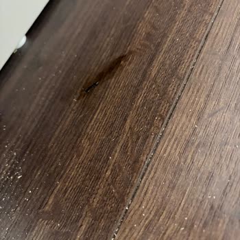 Montaj Sırasında Parke Hasarı Ve Uzayan Yatak Teslimatı