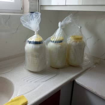 Bozulmuş Peynir Gönderildi, İade Kodu Ve Para İadesi Reddedildi