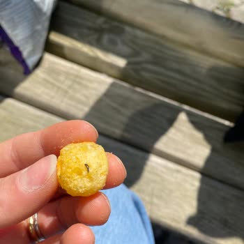 Çerezya Kokteyl Cipsinde Böcek Tespiti Ve Ürün Değişimi Talebi