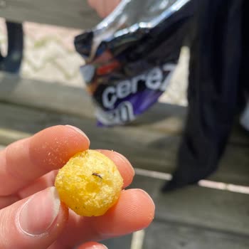 Çerezya Kokteyl Cipsinde Böcek Tespiti Ve Ürün Değişimi Talebi