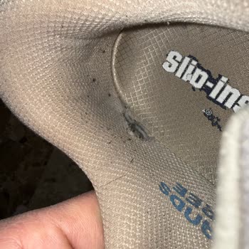Skechers Ayakkabısında 8 Ay Sonra İç Topuk Astar Yırtılması Ve Değişim Talebi
