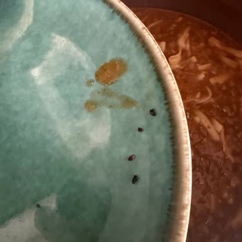 Duru Mercimek Paketi İçinde Böcekler Görüldü