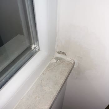 Allianz Sigorta'dan Poliçeye Uygun 24.000 TL Hasar Ödemesi Ve Eksper Raporu İtirazı