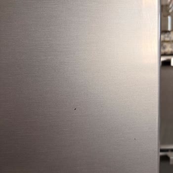 Samsung Refrigerator Rust and Holes Forming on Exterior Surface