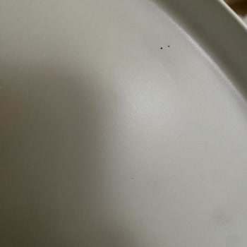 Winnipeg Satıcısının Defolu Ve Vidasız Çelik Sehpasının İadesi Reddedildi