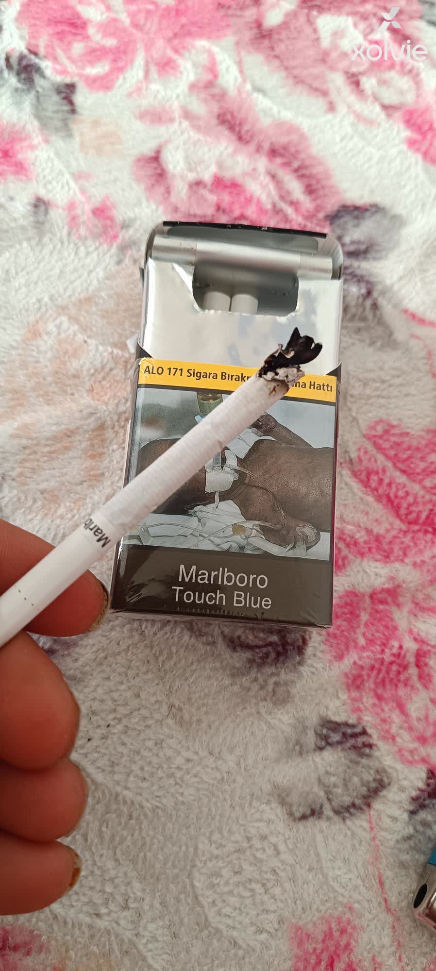 Philip Morris Finding Pieces Of Wood In Marlboro Touch Blue Cigarettes