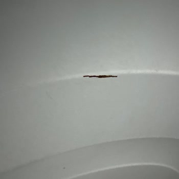 Profilo Çamaşır Makinesi Paslanması Ve 900 TL Ücret İadesi Talebi