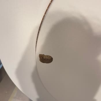 Vitra’nın Ücretsiz Montaj Sözü İhlali Ve Kırılan Banyo Aynası