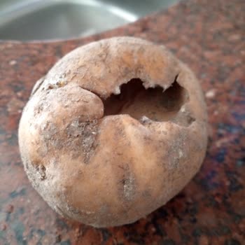 Patates Kalitesindeki Düşüş Ve Yüksek Fiyatlar Nedeniyle Ürün Denetiminin Artırılması Talebi