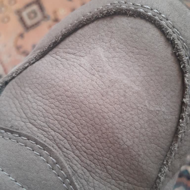 Yağmur Sonrası Botta Beyaz Lekeler Ve Sadece Fotoğrafla İnceleme Hayal Kırıklığı