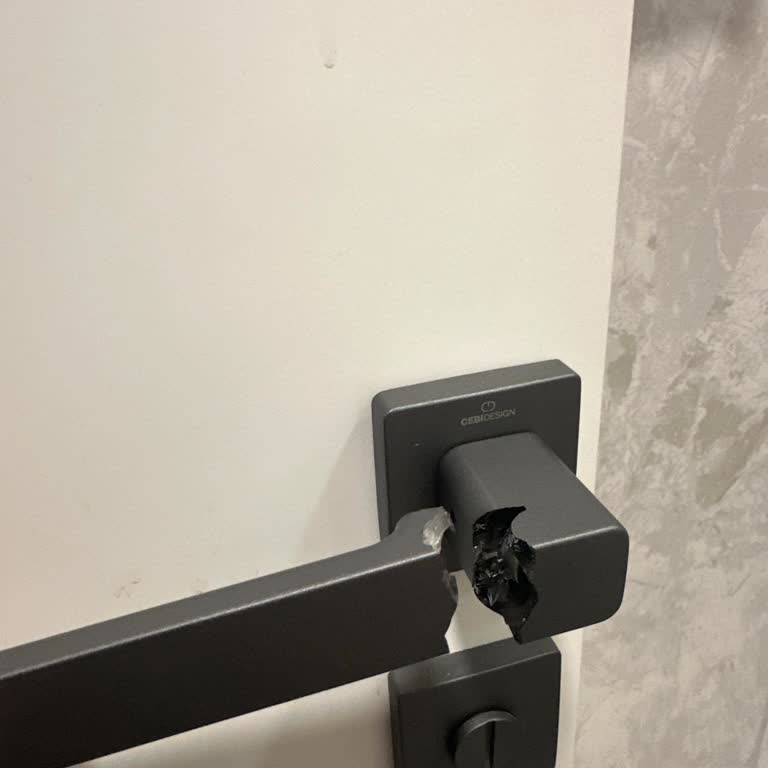 Zipline Flat Kapı Kolu Kısa Sürede Kırıldı, Değişim Talebi Gerekiyor