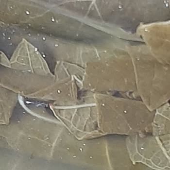 Yanıltıcı Satış ve Ürün İadesi Şikayeti