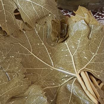 Yanıltıcı Satış ve Ürün İadesi Şikayeti