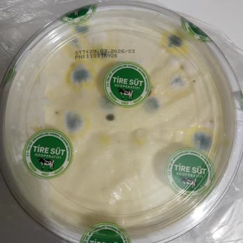 Açılmamış Folyo Ve Yoğurtta Gözle Görülebilir Küflenme